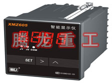 溫度表、數(shù)字顯示儀、濕度表